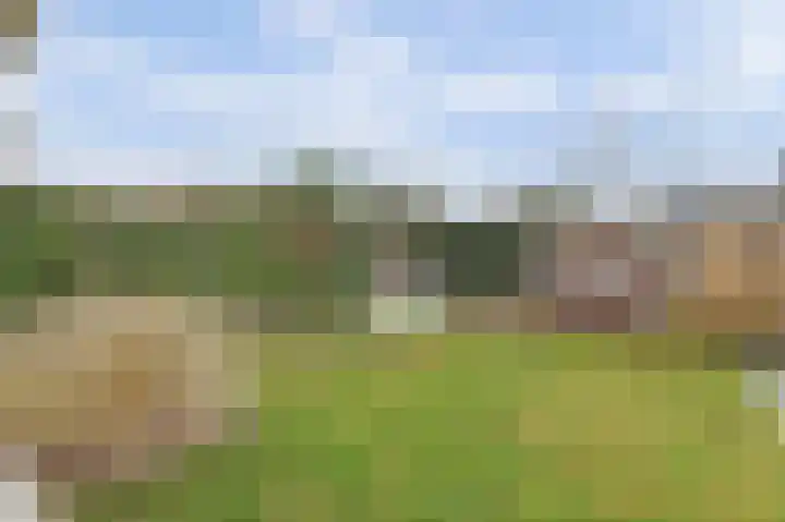 het Hoge Rot 36 Hernen thumbnail 40