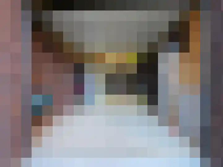 het Hoge Rot 36 Hernen thumbnail 44