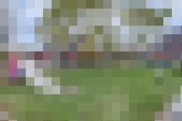 het Hoge Rot 36 Hernen thumbnail 48