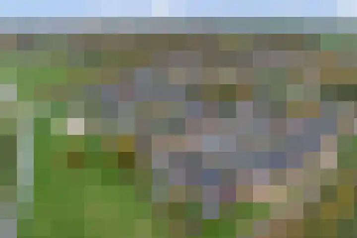het Hoge Rot 36 Hernen thumbnail 49