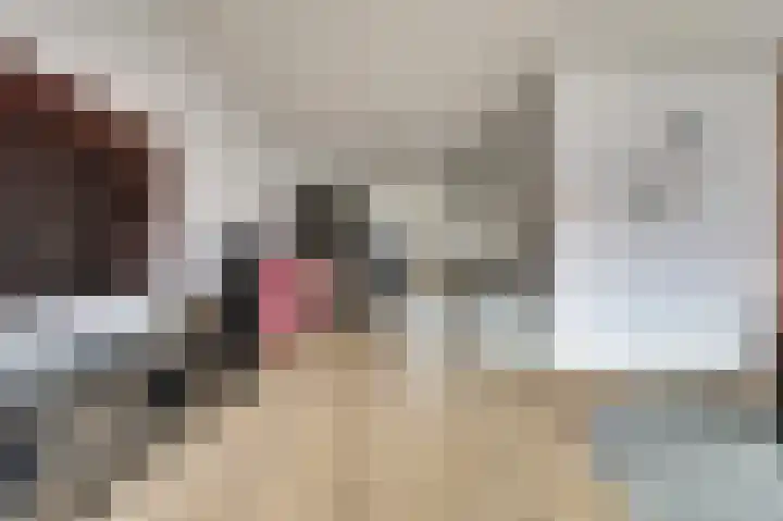 het Hoge Rot 36 Hernen thumbnail 7
