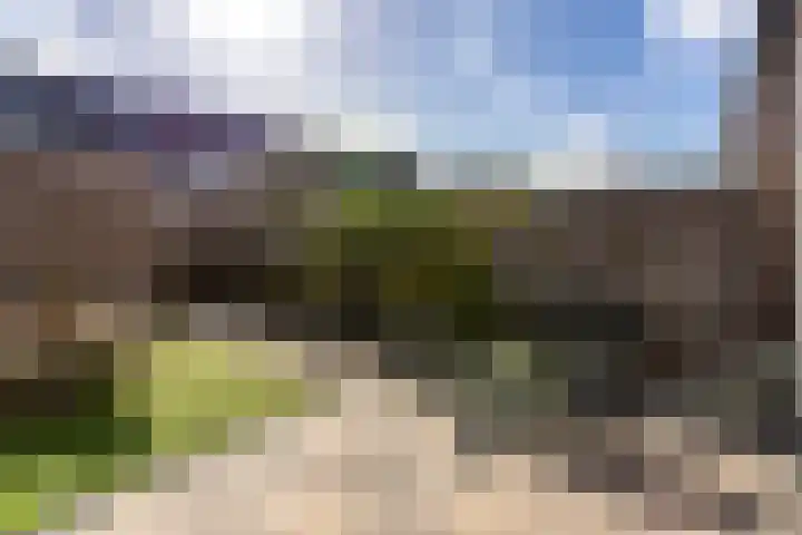 het Hoge Rot 58 Hernen thumbnail 12