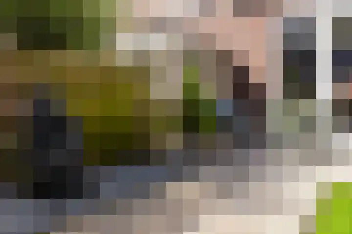 het Hoge Rot 58 Hernen thumbnail 14