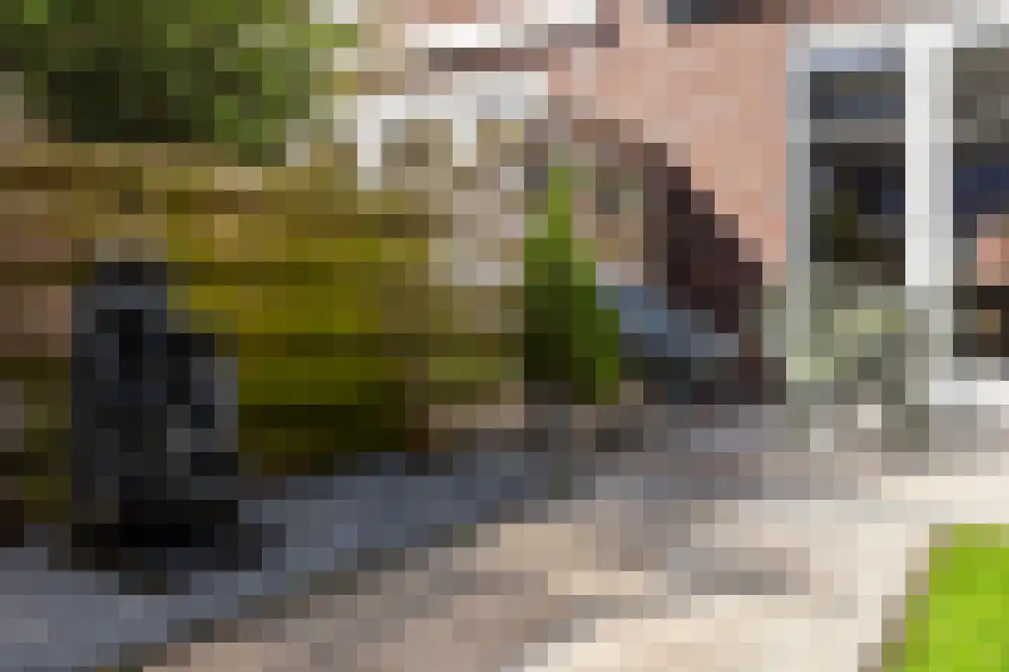 het Hoge Rot 58 Hernen thumbnail 14
