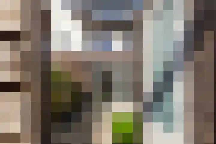het Hoge Rot 58 Hernen thumbnail 15