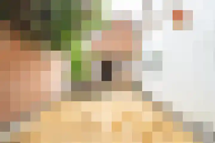 het Hoge Rot 58 Hernen thumbnail 25