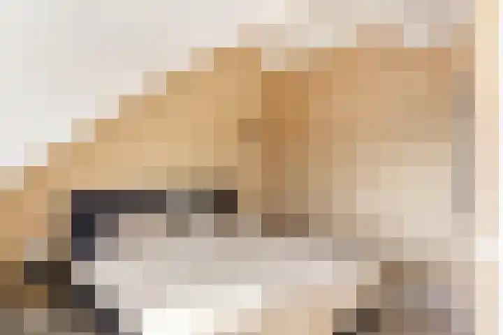 het Hoge Rot 58 Hernen thumbnail 25