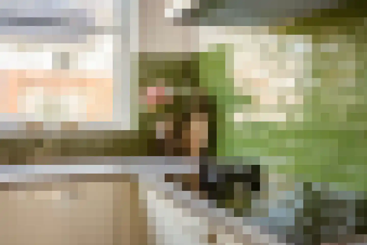 het Hoge Rot 58 Hernen thumbnail 6