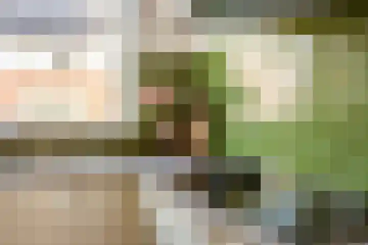 het Hoge Rot 58 Hernen thumbnail 6