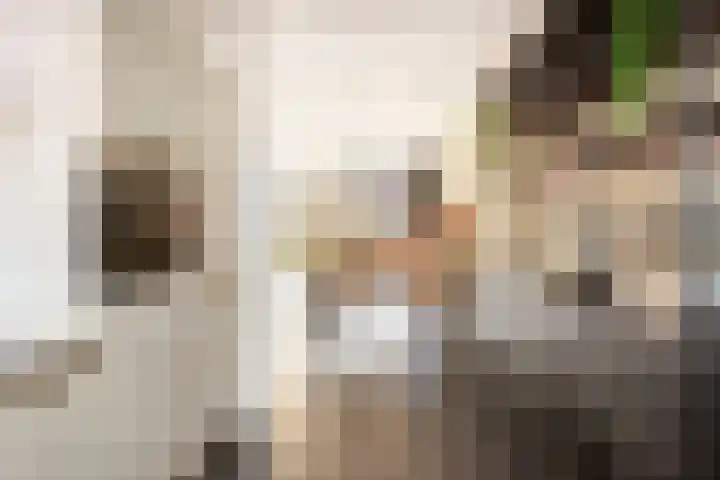 het Hoge Rot 58 Hernen thumbnail 7