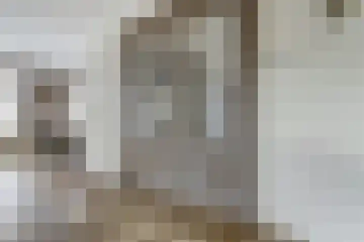 het Hoge Rot 99 Hernen thumbnail 14