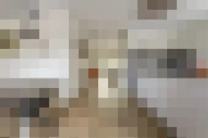 het Hoge Rot 99 Hernen thumbnail 16