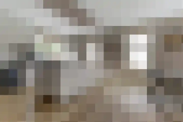 het Hoge Rot 99 Hernen thumbnail 17