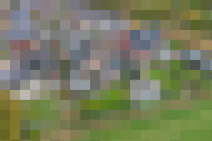 het Hoge Rot 99 Hernen foto 2