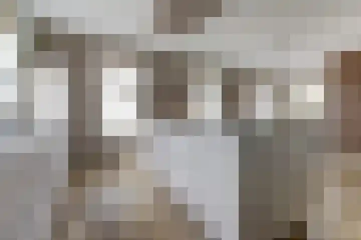het Hoge Rot 99 Hernen thumbnail 21