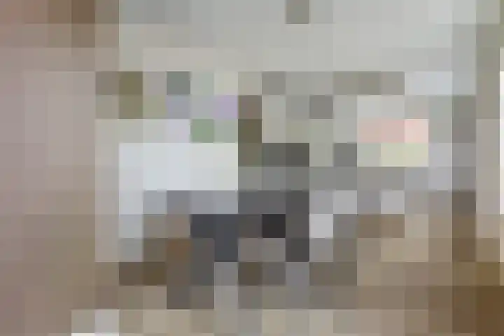 het Hoge Rot 99 Hernen thumbnail 26