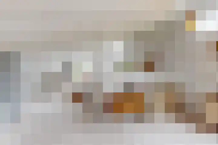 het Hoge Rot 99 Hernen thumbnail 27