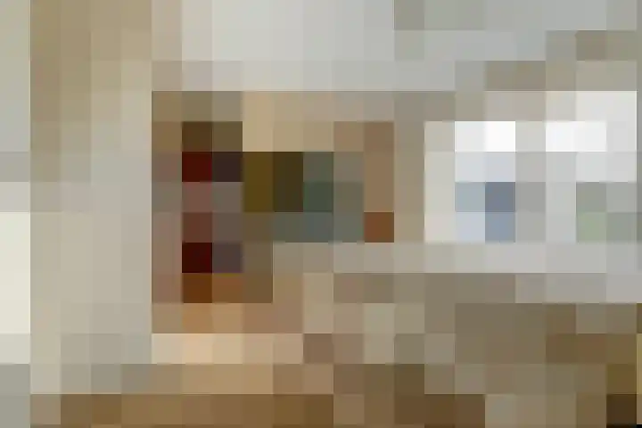 het Hoge Rot 99 Hernen thumbnail 29