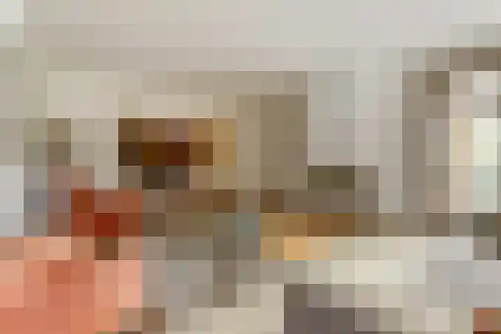 het Hoge Rot 99 Hernen foto 3