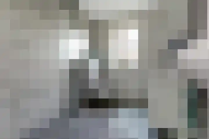 het Hoge Rot 99 Hernen thumbnail 32