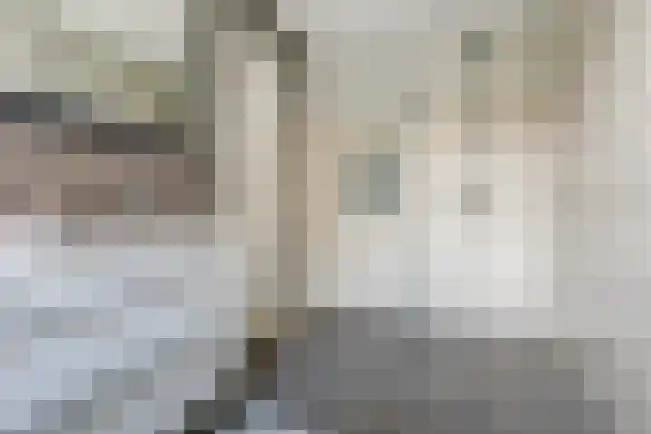 het Hoge Rot 99 Hernen thumbnail 33