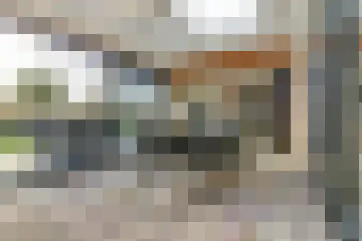 het Hoge Rot 99 Hernen thumbnail 40