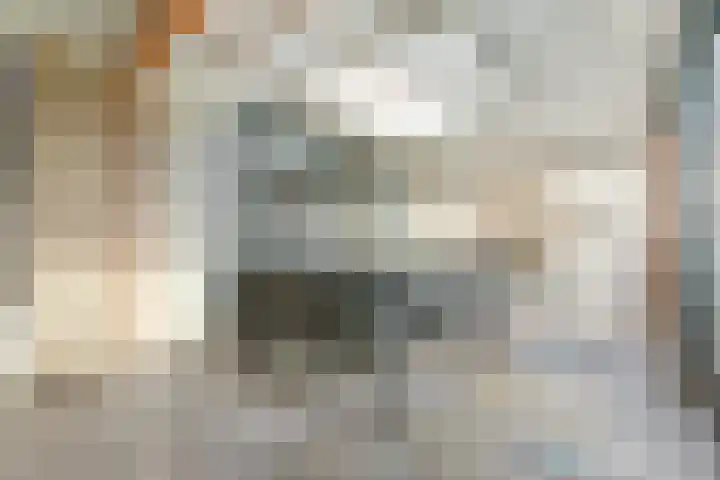 het Hoge Rot 99 Hernen thumbnail 41