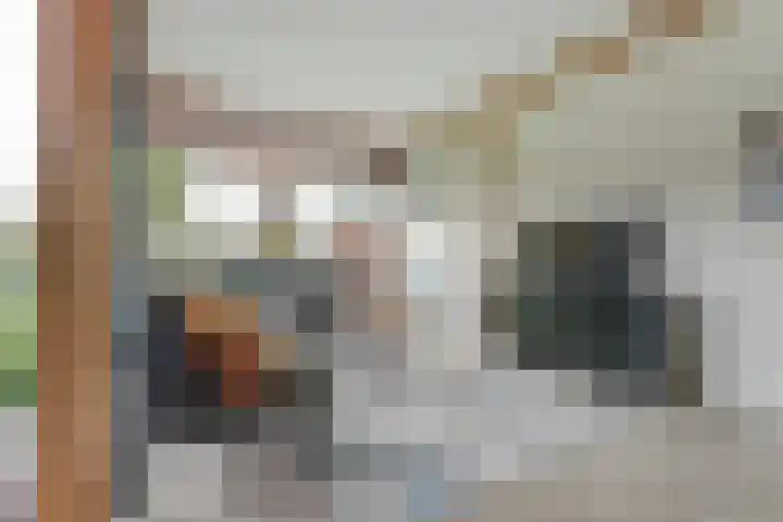 het Hoge Rot 99 Hernen thumbnail 43