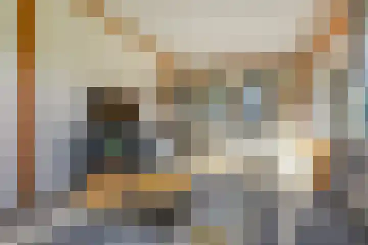 het Hoge Rot 99 Hernen thumbnail 45