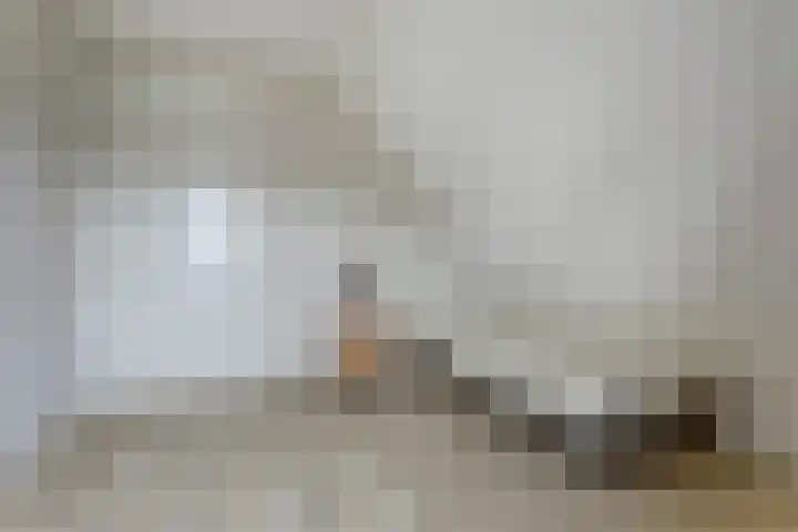 het Hoge Rot 99 Hernen thumbnail 56