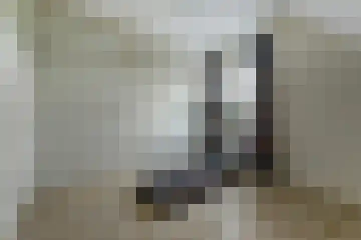 het Hoge Rot 99 Hernen thumbnail 58