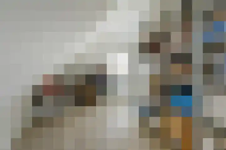 het Hoge Rot 99 Hernen thumbnail 59