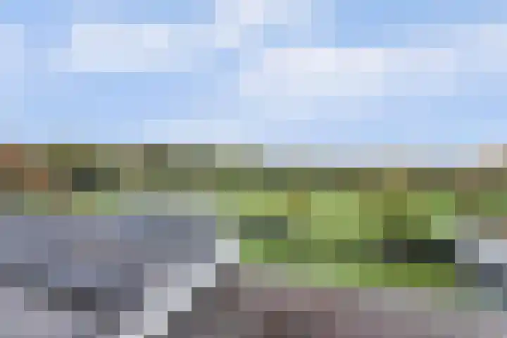 het Hoge Rot 99 Hernen thumbnail 66