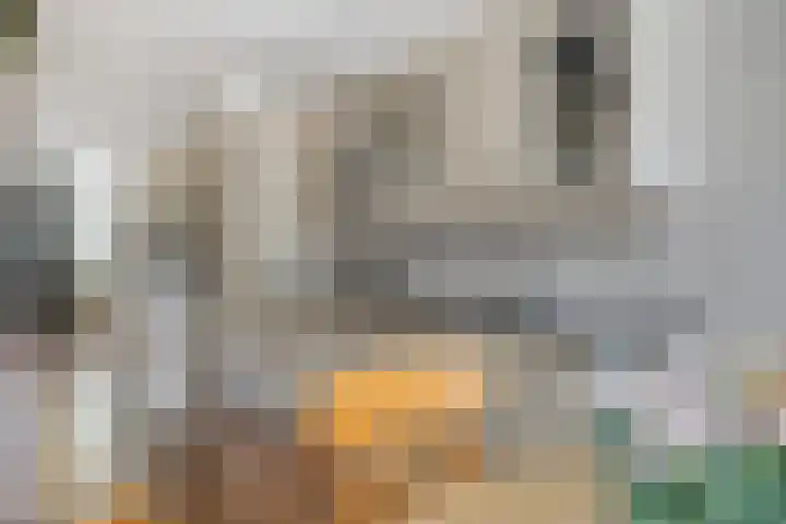 het Hoge Rot 99 Hernen thumbnail 67