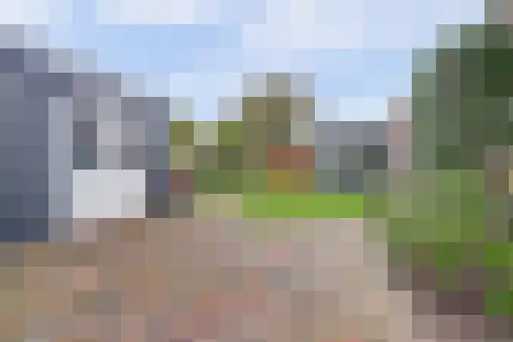 het Hoge Rot 99 Hernen thumbnail 76