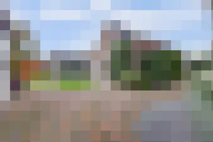 het Hoge Rot 99 Hernen thumbnail 80
