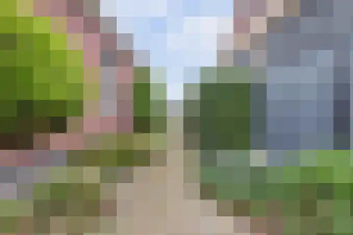 het Hoge Rot 99 Hernen thumbnail 81