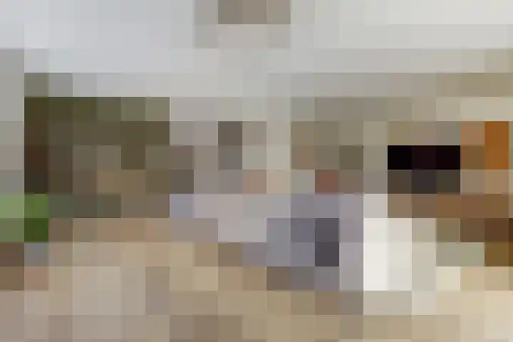 het Hoge Rot 99 Hernen thumbnail 9