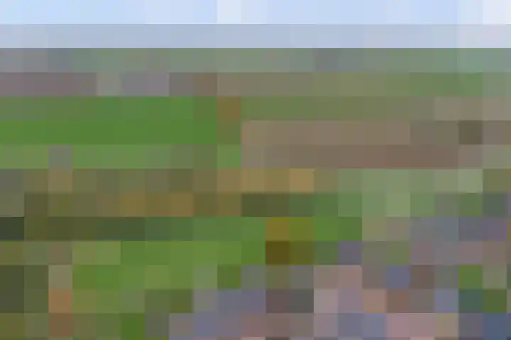 het Hoge Rot 99 Hernen thumbnail 91