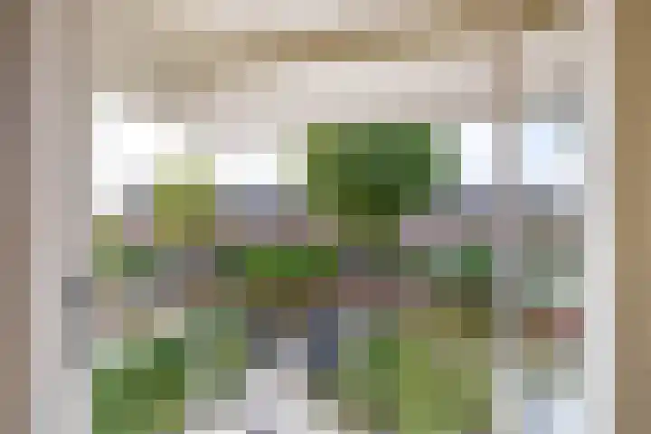 Het Hogeland 34 Zevenhuizen thumbnail 18