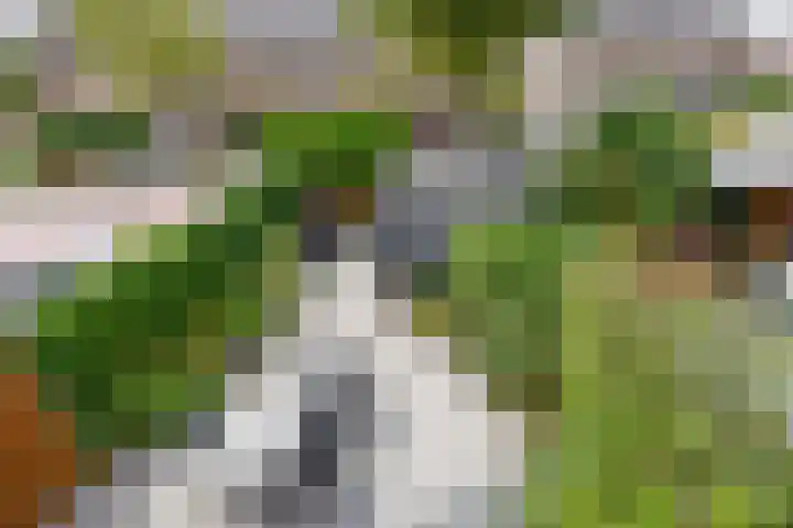 Het Hogeland 34 Zevenhuizen thumbnail 19