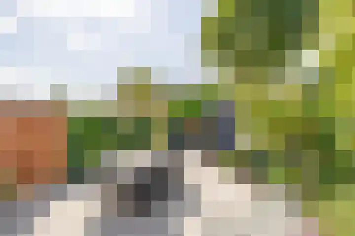 Het Hogeland 34 Zevenhuizen thumbnail 31