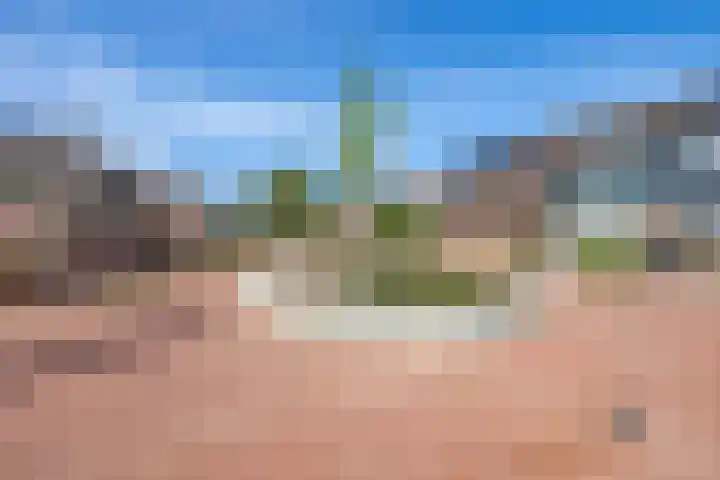 Het Hogeland 34 Zevenhuizen thumbnail 33