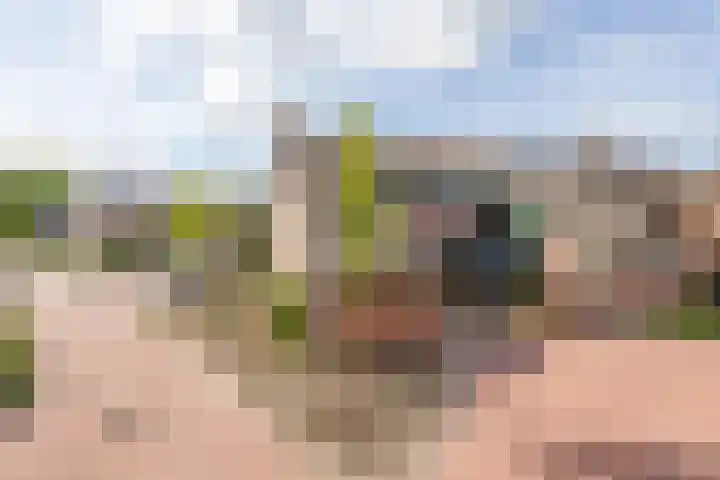 Het Hogeland 34 Zevenhuizen thumbnail 4