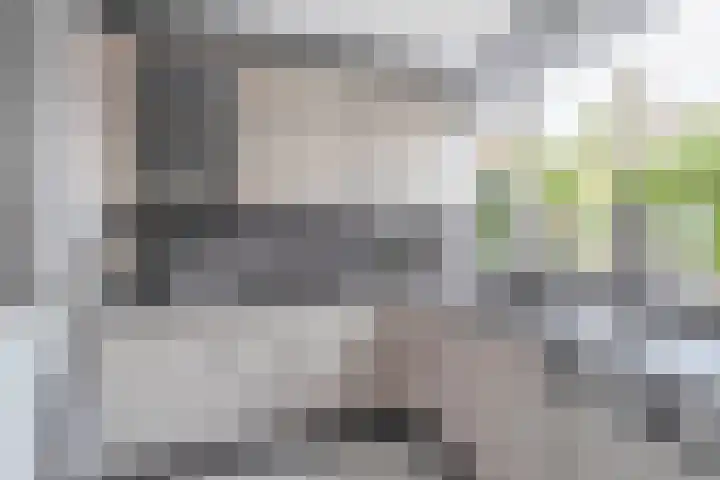 Het Hogeland 43 Zevenhuizen thumbnail 12