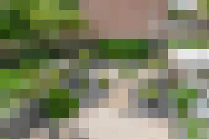 Het Hogeland 43 Zevenhuizen thumbnail 18