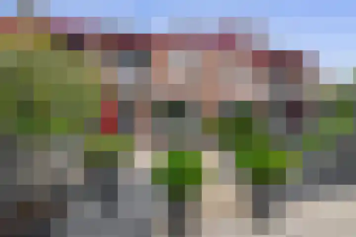 Het Hogeland 43 Zevenhuizen thumbnail 25