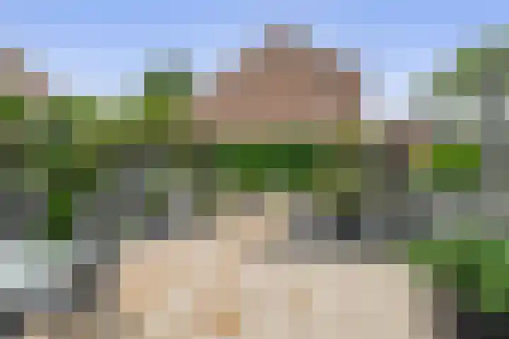 Het Hogeland 43 Zevenhuizen thumbnail 27