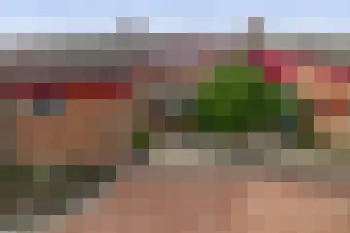Het Hogeland 43 Zevenhuizen thumbnail 28
