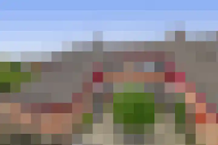 Het Hogeland 43 Zevenhuizen thumbnail 29